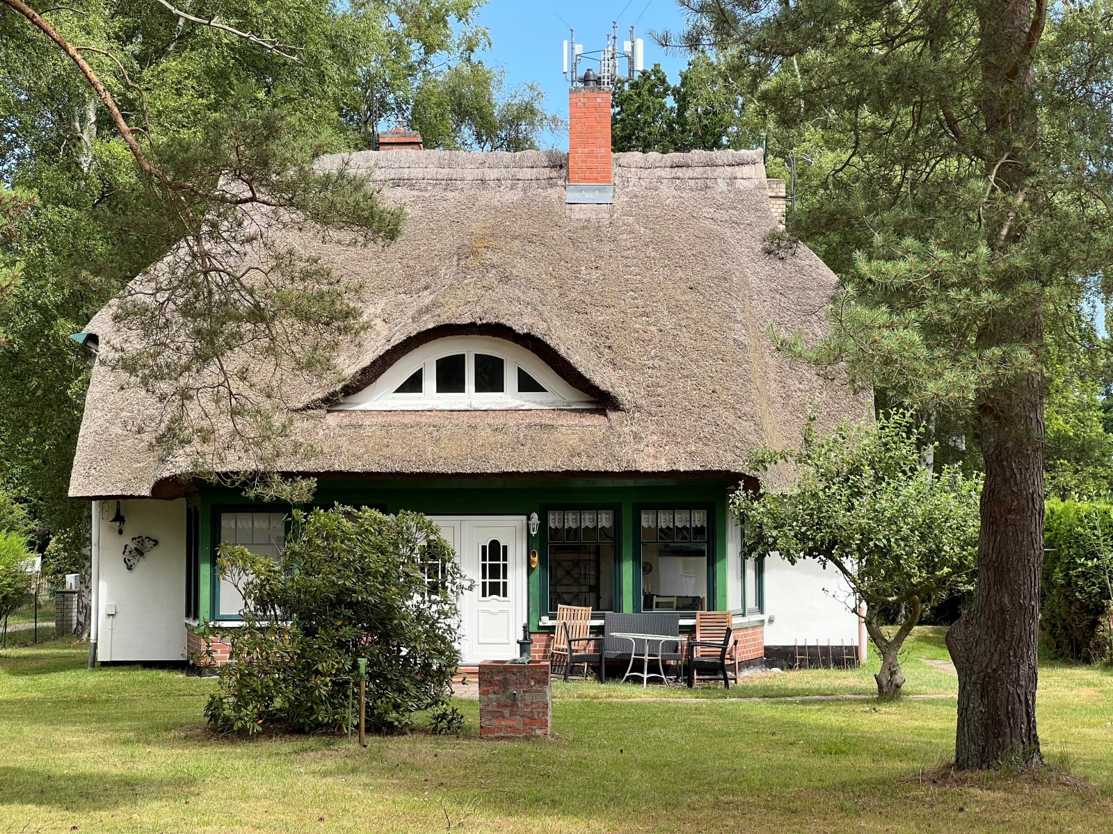 Noering Schwarzdorn OG